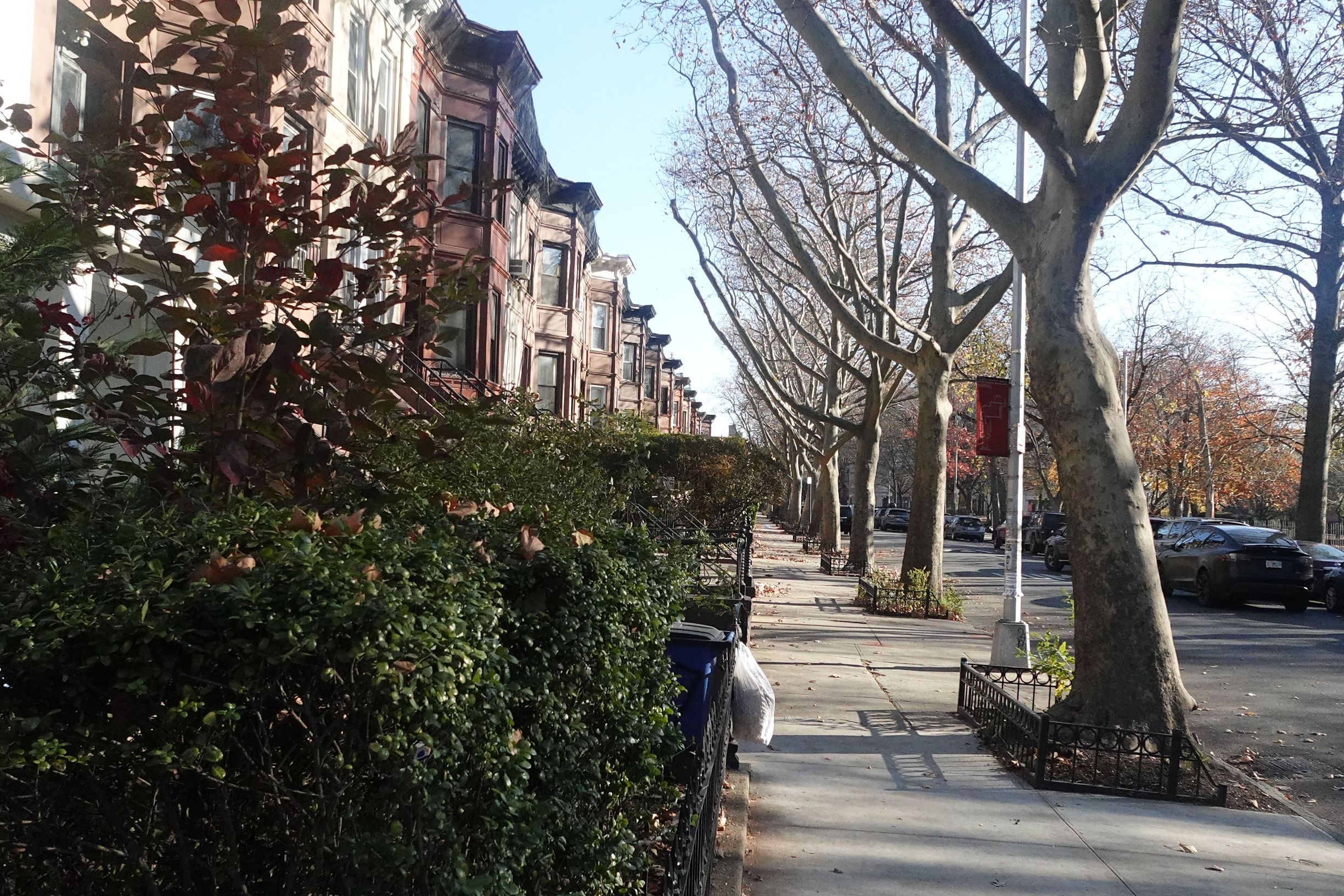 Homes in Bedford Stuyvesant