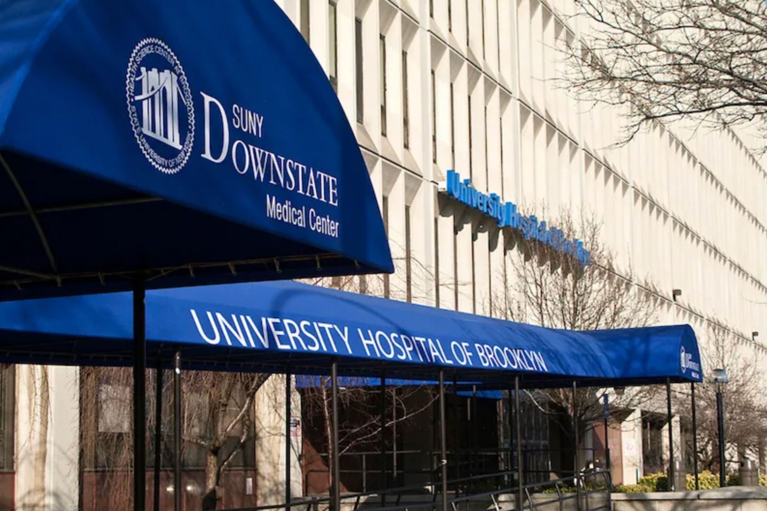 SUNY Downstate University Hospital of Brooklyn - 1